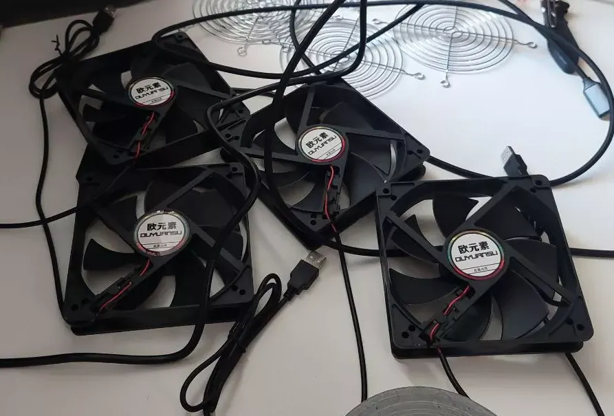 Image of the fans