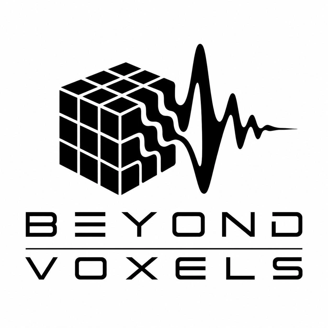 BeyondVoxels